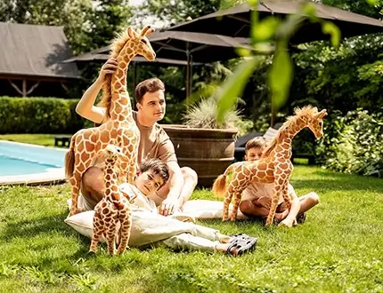 Big cuddly giraffes