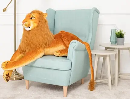 Big cuddly lions