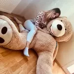Home - Teddyway