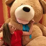 Home - Teddyway