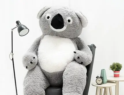 Big cuddly koalas